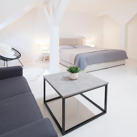 U Zlate Hvezdy Apartman Jungmann Leilighet Litoměřice Eksteriør bilde