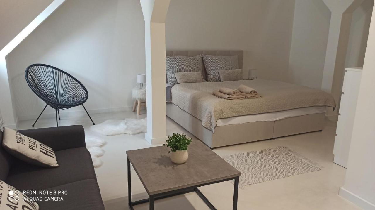 U Zlate Hvezdy Apartman Jungmann Leilighet Litoměřice Eksteriør bilde